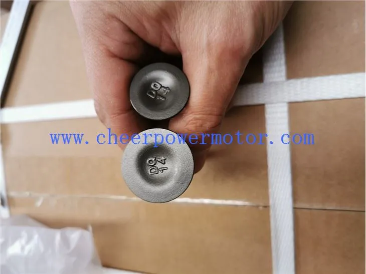 Motorcycle Valve Inlet Exhaust Set For GY6-150 (5)
